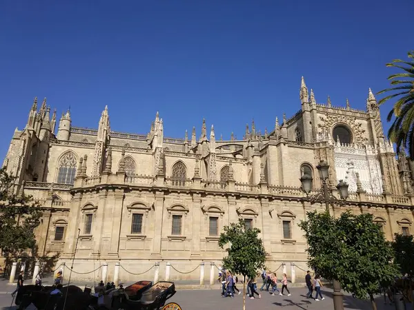 Catedral de Sevilla fotografia realizada en dia despejado sin nubs y cielo azul -写真素材Futotografia realizada el 31 de Octubre del 2017, Sevilla,アンダルシア,エスパーナ,エウロパ — ストック写真