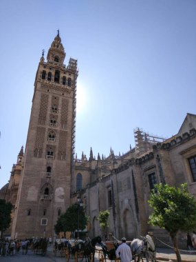 Vista de la Giralda de Sevilla junto a Catedral de Sevilla Fotografia realizada en dia despejado sin nubes, a contra luz y cielo azul  - Fotografia realizada el 31 de Octubre del 2017, Sevilla, Andalucia, Espana, Europa