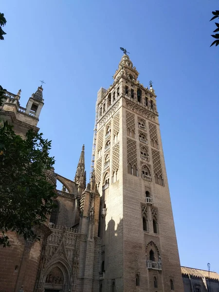 Vista de la Giralda de Sevilla junto a Catedral de Sevilla,  Fotografia realizada en dia despejado sin nubes, a contra luz y cielo azul  - Fotografia realizada el 31 de Octubre del 2017, Sevilla, Andalucia, Espana, Europa
