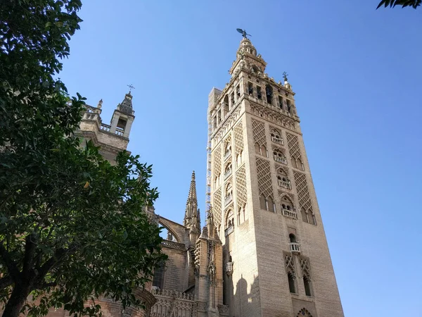 Vista Horizontal de la Giralda de Sevilla junto a Catedral de Sevilla, Fotografia realizada en despejado sin nubes, a contra luz y cielo azul - Fotografia realizada el 31 de Octubre del 2017, Sevilla, Andalucia, Espana, Europa