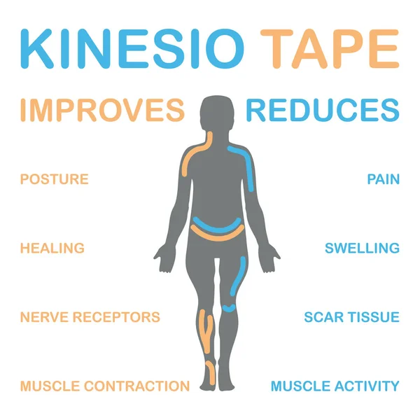 Kinesio tape verbetert spiercontractie. — Stockvector