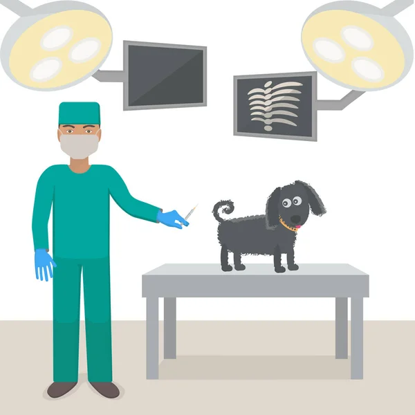 Veterinario con un perro en un consultorio médico. Vacunación para perros . — Vector de stock