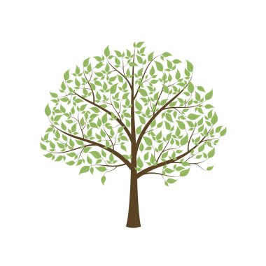 Beyaz arkaplanda yaprakları olan ağaç.