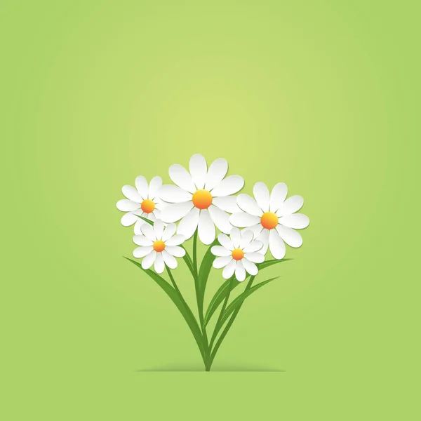 緑の背景に鎮静の花束 — ストックベクタ