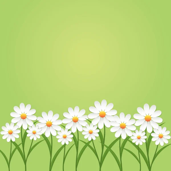 緑色の背景にカモミールの花 — ストックベクタ