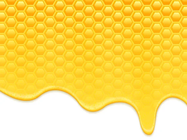 Honey tekoucí voštiny — Stockový vektor