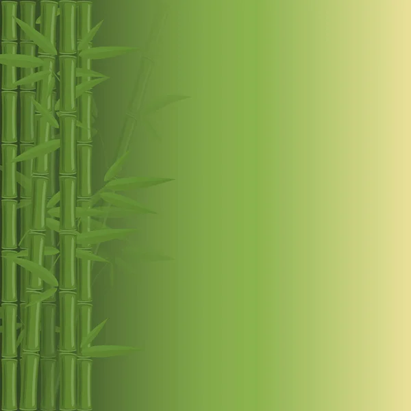 Бамбуковые джунгли на зеленом фоне . — стоковый вектор