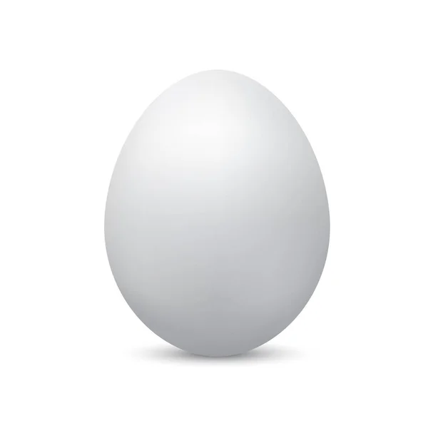 リアルな卵を分離 — ストックベクタ