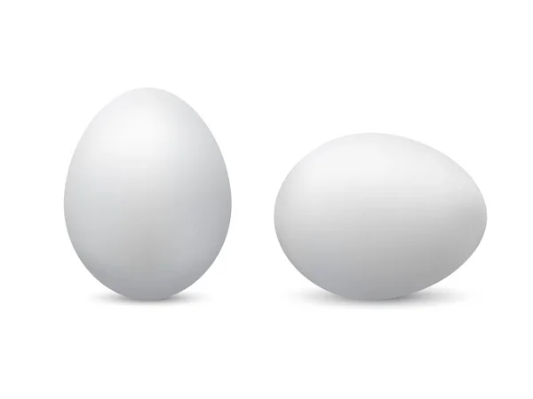 Realistische Eier isoliert — Stockvektor