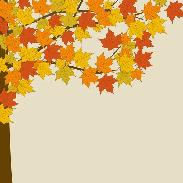Höstens lönn med gula blad . — Stock vektor