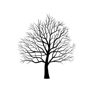  ağaç yaprakları olmadan