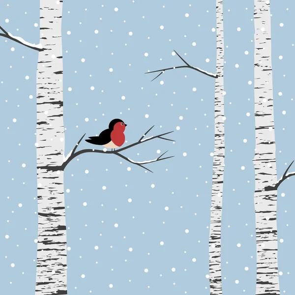 Huş ağaçları kış arka plan üzerinde