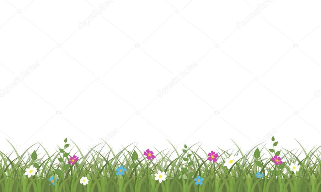 Grass and flowers