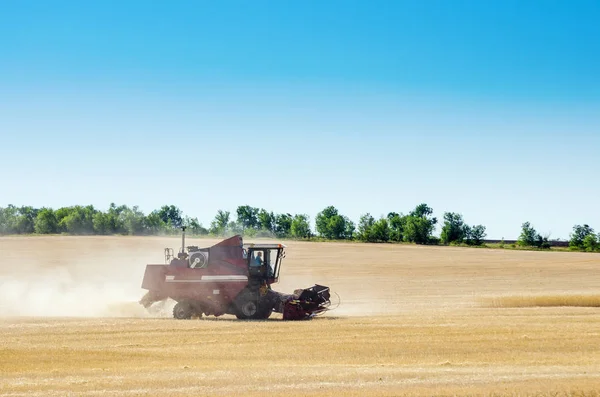 Combine colheitadeira no campo. Colheita — Fotografia de Stock