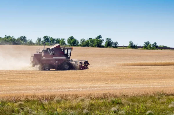 A Harvester trabalha no terreno. Colheita — Fotografia de Stock