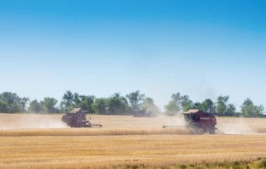 Bir alanda birleştirir. Hasat