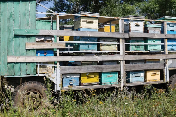 Aanhangwagen met bijenkorven — Stockfoto