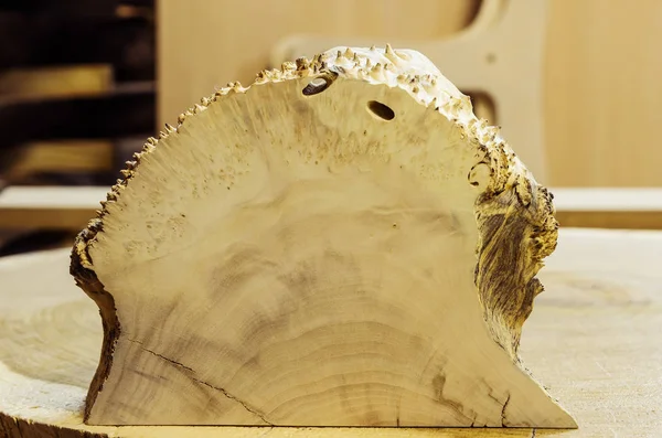 Huş ağacı gövde birikmesi kesit / doğrama atölyesinde resim çekildiği