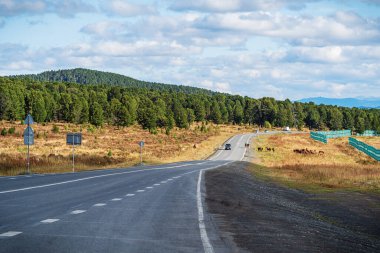 Altai Republic, Russia - September, 12, 2019: Highway through the Seminsky Pass