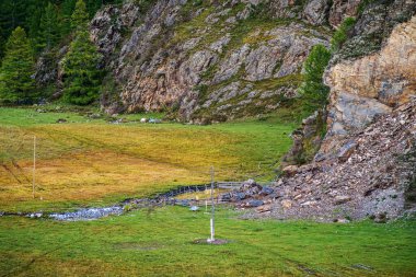 Pagan ayini dağların yamacında yapılır. Rusya, Altai dağı, Ongudaysky bölgesi, Karakol vadisi