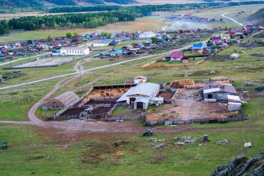 Köydeki çiftlik hayvanları çiftliği, en iyi manzara. Rusya, Altai dağı, Ongudaysky bölgesi, Bichiktu-Boom köyü.