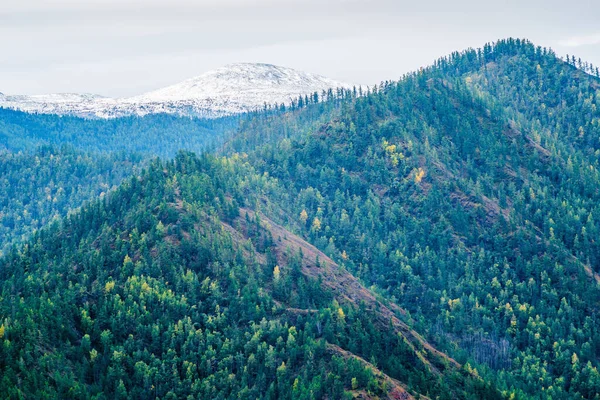 雪のピークと森の丘の中腹に ロシア アルタイ山脈 オングダイスキー地区 ウッチエンメク自然公園 カラコル渓谷 — ストック写真
