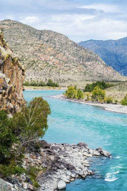 Sonbaharda Altai Dağları 'ndaki Katun Nehri' nin manzarası
