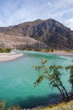 Sonbaharda Altai Dağları 'ndaki Katun Nehri' nin manzarası