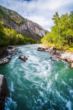 Chuya Nehri 'nde Behemoth Nehri Akıntısı, Altai Dağı, Rusya