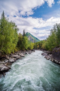 Chuya Nehri 'nde Behemoth Nehri Akıntısı, Altai Dağı, Rusya