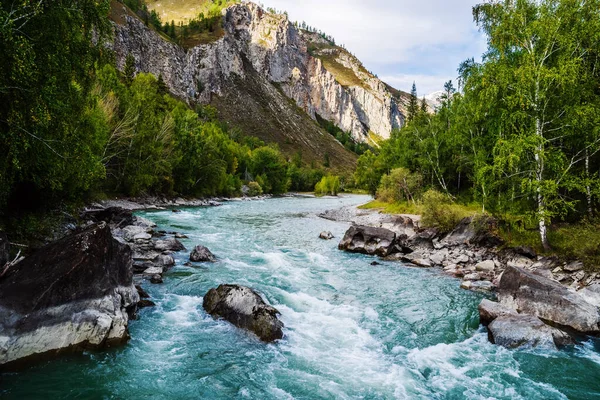 Behemoth Folyó Rapid Chuya Folyón Altai Hegy Oroszország — Stock Fotó