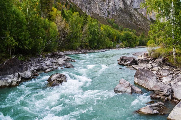 Río Behemoth Rapid Río Chuya Montaña Altai Rusia —  Fotos de Stock