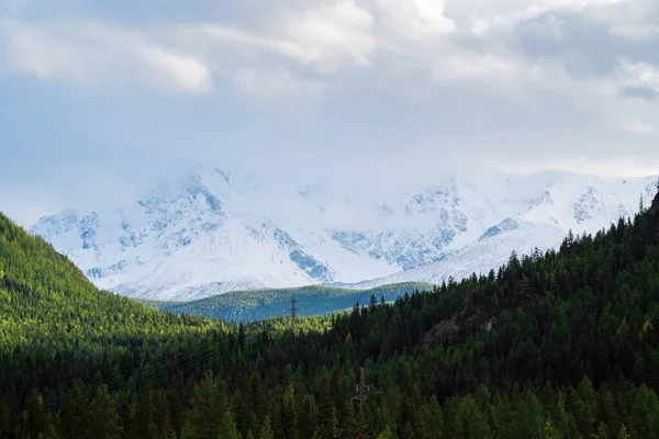 Utsikt Över North Chuysky Åsen Från Chuysky Området Berg Altai — Stockfoto