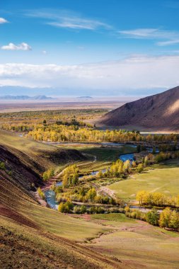 Kyzylshin Nehri vadisinde sonbahar, en üst manzara. Kosh-Agachsky Bölgesi, Altai Cumhuriyeti, Rusya