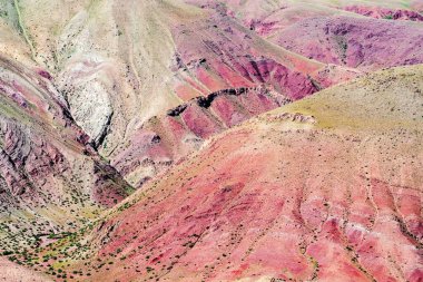 Kyzylshin 'in doğal sınırlarında renkli yamaçlar. Kosh-Agachsky Bölgesi, Altai Cumhuriyeti, Rusya
