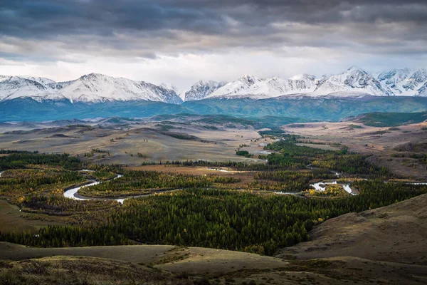 Chuya River Valley Med Utsikt Över North Chuysky Range Gryningen — Stockfoto