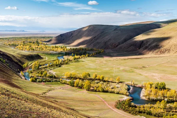 Kyzylshin Nehri vadisinde sonbahar, en üst manzara. Kosh-Agachsky Bölgesi, Altai Cumhuriyeti, Rusya