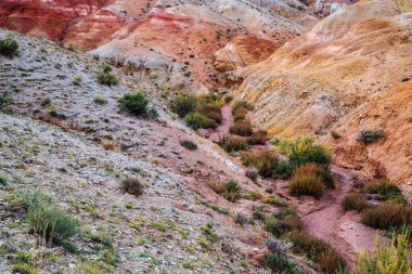 Kyzyl-Chin vadisindeki Altai 