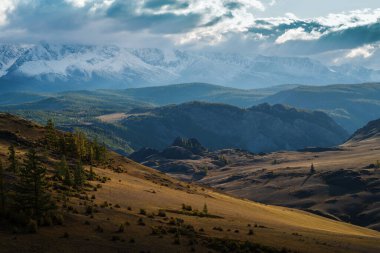 Altai Dağları 'nda sonbahar, Kurai bozkırları. Rusya