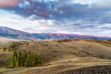 Batan güneşin aydınlattığı tepeler. Kurai bozkırı, Altai Cumhuriyeti, Rusya