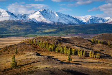 Kurai bozkırında sabah, Kuzey Chuysky sırtı manzarası. Kosh-Agachsky Bölgesi, Altai Cumhuriyeti, Rusya