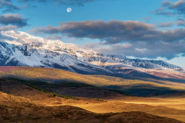 초원의 북쪽의 Kosh Agachsky District Altai Republic Russia — 스톡 사진