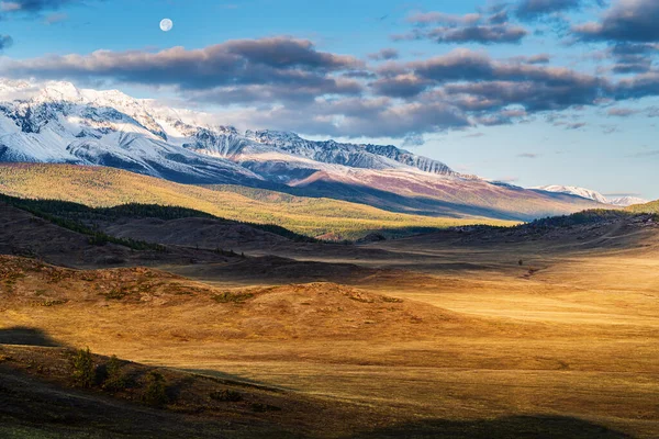 Morgens Der Kurai Steppe Der Mond Über Dem Nordtschuysky Kamm — Stockfoto