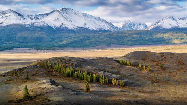 Kurai Bozkırında Sabah Kuzey Chuysky Sırtı Manzarası Panorama Kosh Agachsky — Stok fotoğraf