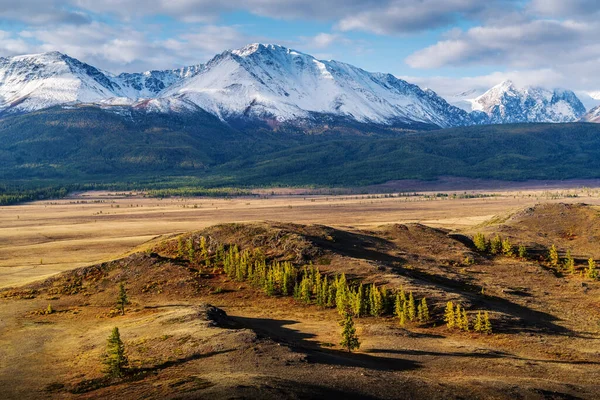 에서의 산마루가 보인다 Kosh Agachsky District Altai Republic Russia — 스톡 사진