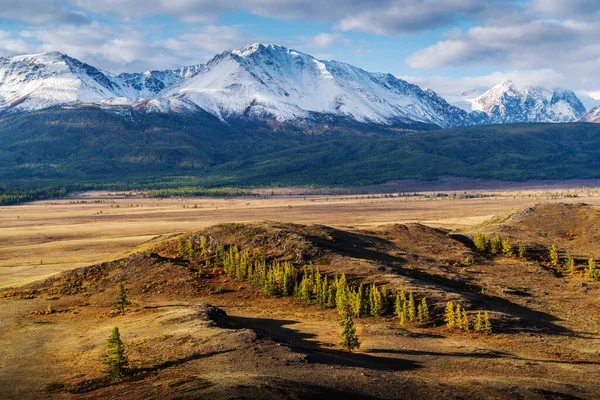 Morgon Kurai Stäppen Utsikt Över North Chuysky Åsen Distriktet Kosh — Stockfoto