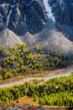 Aktru Nehri Vadisi manzarası ve Öğretmen Geçidi 'nden Alp kampı. Severo-Chuysky sırtı, Altai Cumhuriyeti, Rusya
