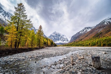 Aktru Nehri 'nin Sonbahar Vadisi, Kuzey Chuysky Dağları' nın buzullarının eteklerinde. Kosh-Agachsky Bölgesi, Altai Cumhuriyeti, Rusya