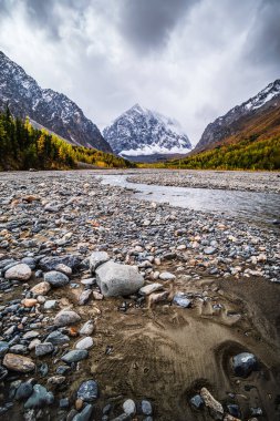 Aktru dağlık buz havzasının sonbaharda taşkın ovası, Karatash Dağı, Kuzey Chuysky Sıradağları, Altai Cumhuriyeti, Rusya