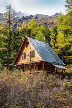 Taiga 'daki ahşap ev. Tırmanış kampı Aktru, Altai Cumhuriyeti, Rusya